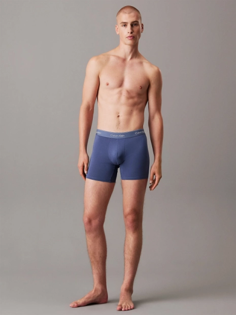 Pánské boxerky Calvin Klein 3pack NB4394/VQN(2)