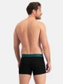 Pánské boxerky Bamboo 3pack Rico/026(7)7