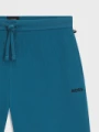 Pánské šortky Hugo Boss 50535884/470(5)5