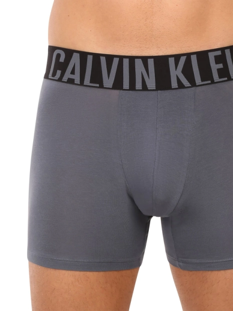 Pánské boxerky Calvin Klein 3pack NB3609/ZD9(4)