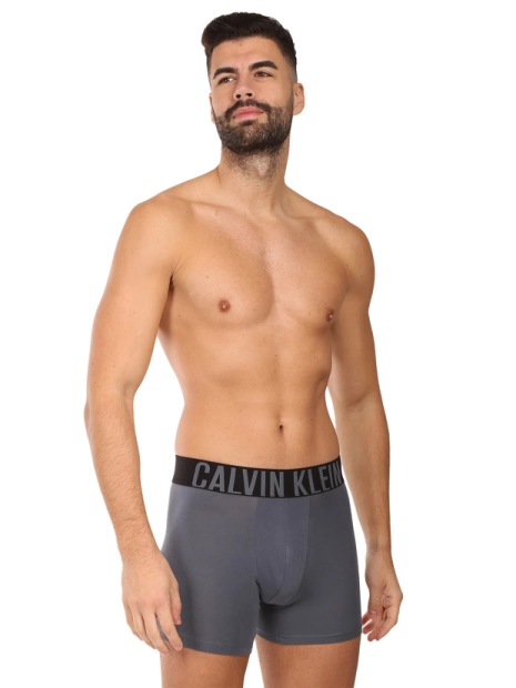 Pánské boxerky Calvin Klein 3pack NB3609/ZD9(3)
