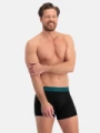 Pánské boxerky Bamboo 3pack Rico/026(5)5