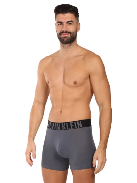 Pánské boxerky Calvin Klein 3pack NB3609/ZD9(2)