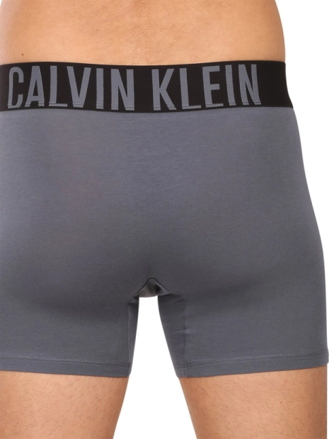 Pánské boxerky Calvin Klein 3pack NB3609/ZD9(8)