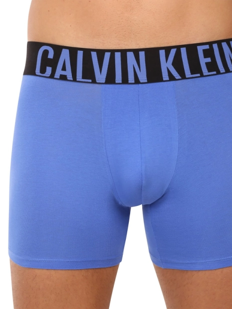 Pánské boxerky Calvin Klein 3pack NB3609/ZD9(6)