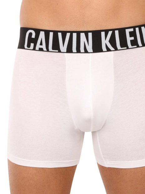 Pánské boxerky Calvin Klein 3pack NB3609/ZD9(5)