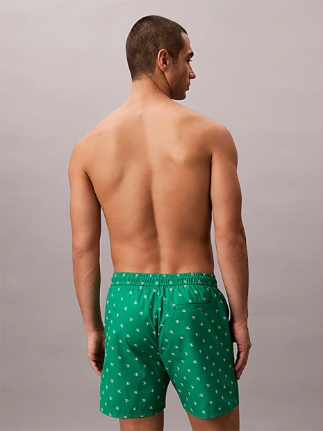 Pánské plavky Calvin Klein N61027/33T(5)