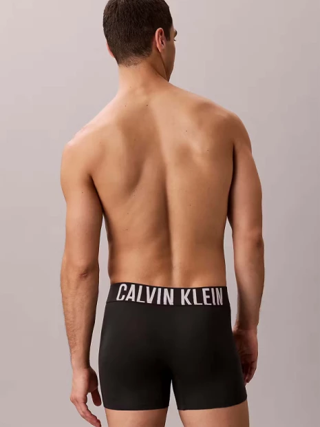 Pánské boxerky Calvin Klein 3pack NB3609/3YN(6)