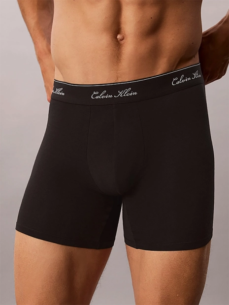 Pánské boxerky Calvin Klein 3 pack NB4608/TM6(4)