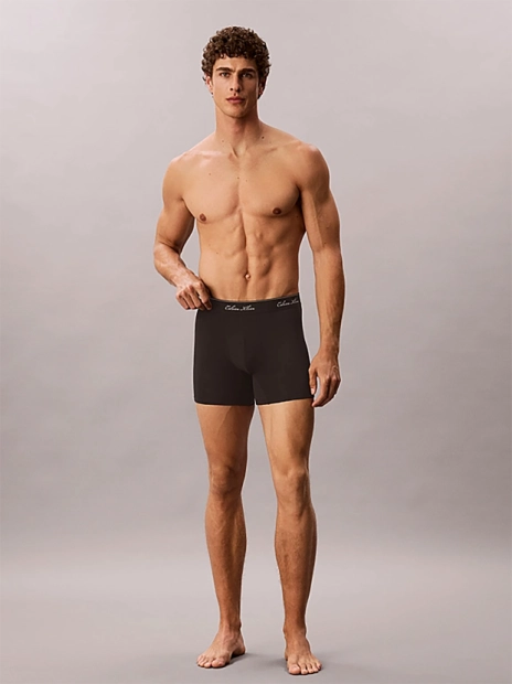 Pánské boxerky Calvin Klein 3 pack NB4608/TM6(3)